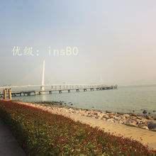 δ